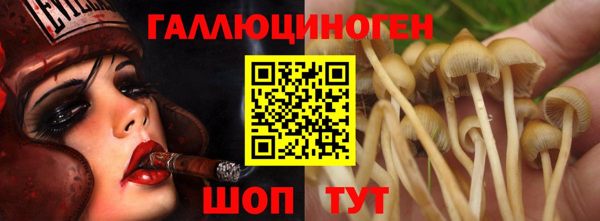 Галлюциногенные грибы MAGIC MUSHROOMS Гатчина
